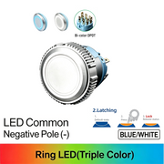 BW DPDT Maintained common cathode (-)