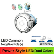 RG DPDT Momentary common cathode (-)