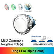 RGW DPDT Momentary common cathode (-)