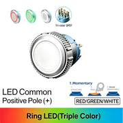 RGW DPDT Momentary common anode (+)