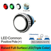 RGW DPDT Momentary common anode (+)