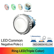 RGY DPDT Momentary common cathode (-)