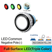 RGY DPDT Maintained common cathode (-)