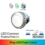 RG DPDT Momentary common anode (+)