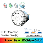 RGW SPDT Momentary common anode (+)