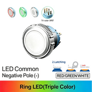 RGW SPDT Maintained common cathode (-)