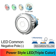 RGY SPDT Momentary common cathode (-)