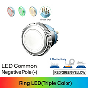 RGY SPDT Momentary common cathode (-)
