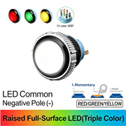 RGY SPDT Momentary common cathode (-)