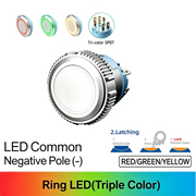 RGY SPDT Maintained common cathode (-)