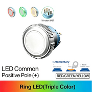 RGY SPDT Momentary common anode (+)