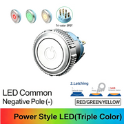 RGY SPDT Maintained common cathode (-)