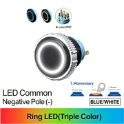 BW DPDT Momentary common cathode (-)