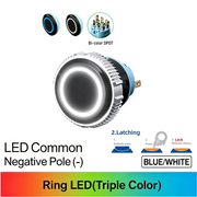 BW DPDT Maintained common cathode (-)