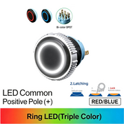 RB DPDT Maintained common anode (+)