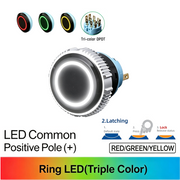 RGY DPDT Maintained common anode (+)