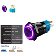 Purple SPDT Latching