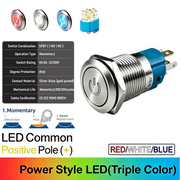 RWB Common anode Momentary