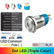 RWB Common anode Momentary