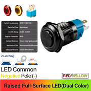 RY Common cathode Latching