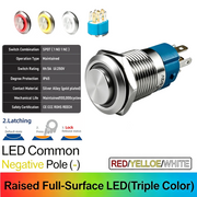 RYW Common cathode Latching