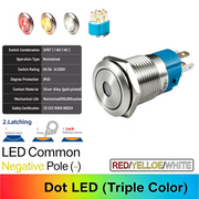 RYW Common cathode Latching