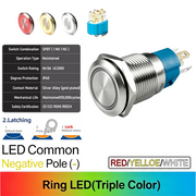 RYW Common cathode Latching