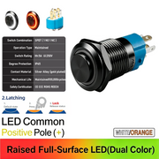 WO Common anode Latching