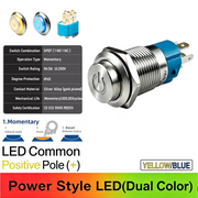 YB Common anode Momentary