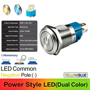 YB Common cathode Momentary
