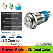 YG Common anode Momentary