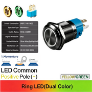 YG Common anode Momentary