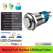 YG Common anode Momentary
