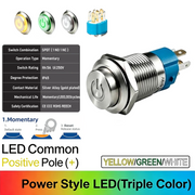 YGW Common anode Momentary