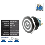 White DPDT Momentary