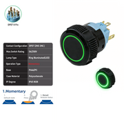 Green DPDT Maintained