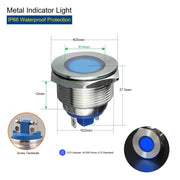 Blue   Screw Terminal