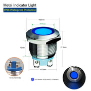 Blue   Screw Terminal