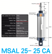 MSAL 25-25W CA