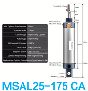 MSAL 25-175 CA