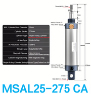 MSAL 25-275 CA