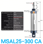 MSAL 25-300 CA